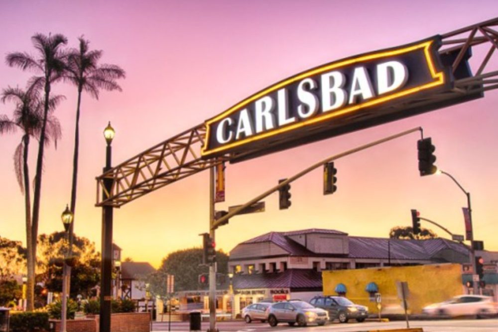 Coastal homes in Carlsbad, California featuring palm trees and ocean views, representing the upscale real estate market in North County San Diego.